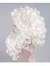 Professional Father Xmas Santa Claus Wig and Beard Set HX-014